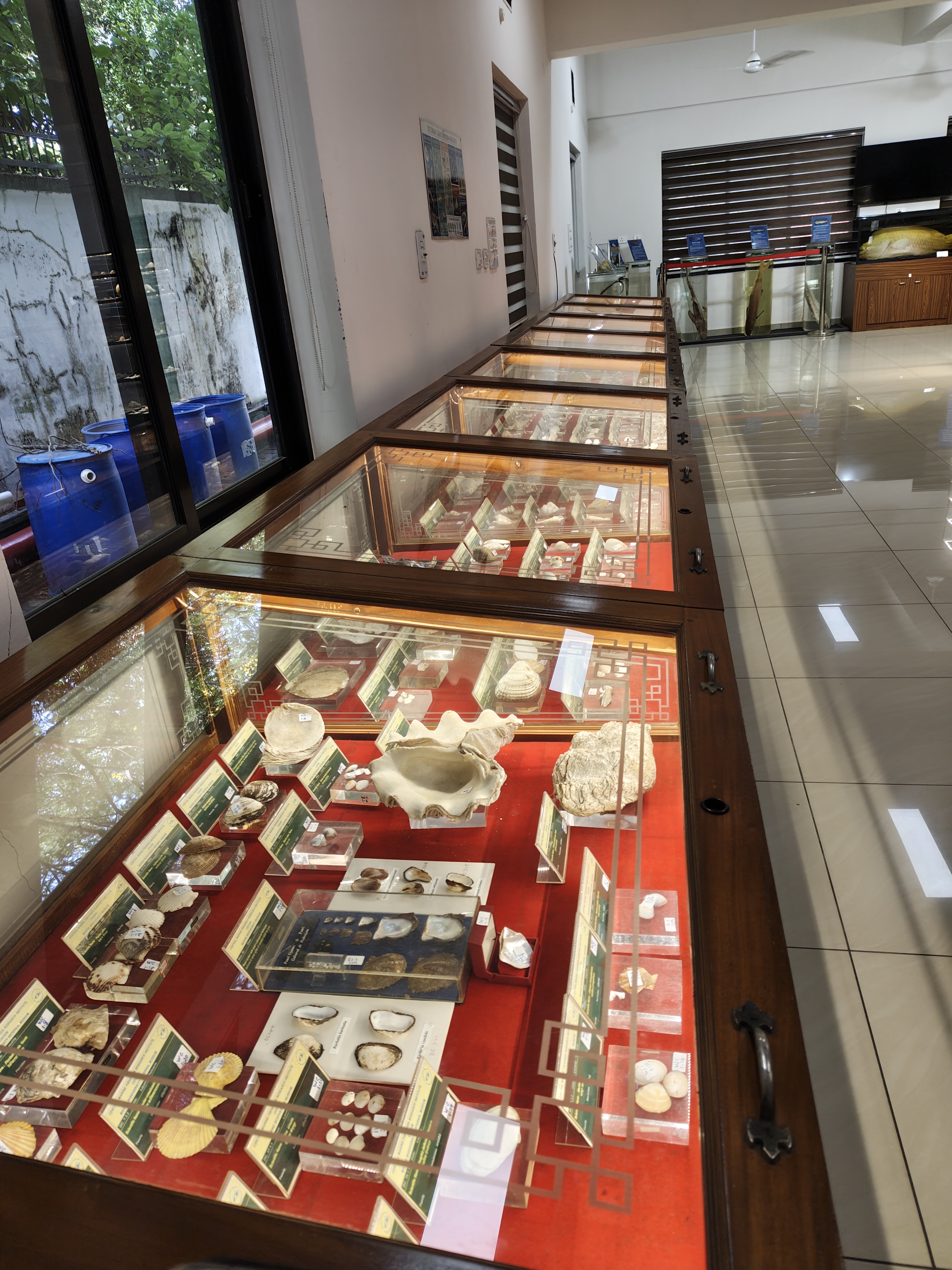 Museum Collection Part 2